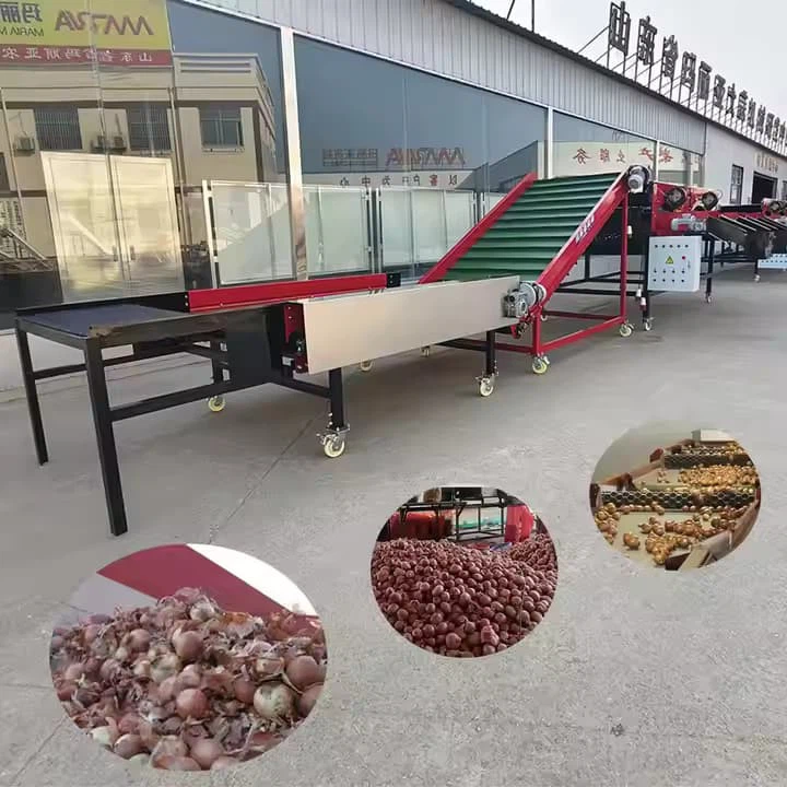 Industrial Garlic Size Sorting Machine/Garlic Onion Grading Sorting Machine/Garlic Sorting Grading Machine