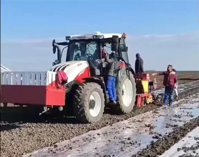Multi -funkcija Ručna gura krumpir luk Stroj za sadnicu češnjaka 7 reda sadnica sjemenki s rezervnim dijelovima za sadnicu farme